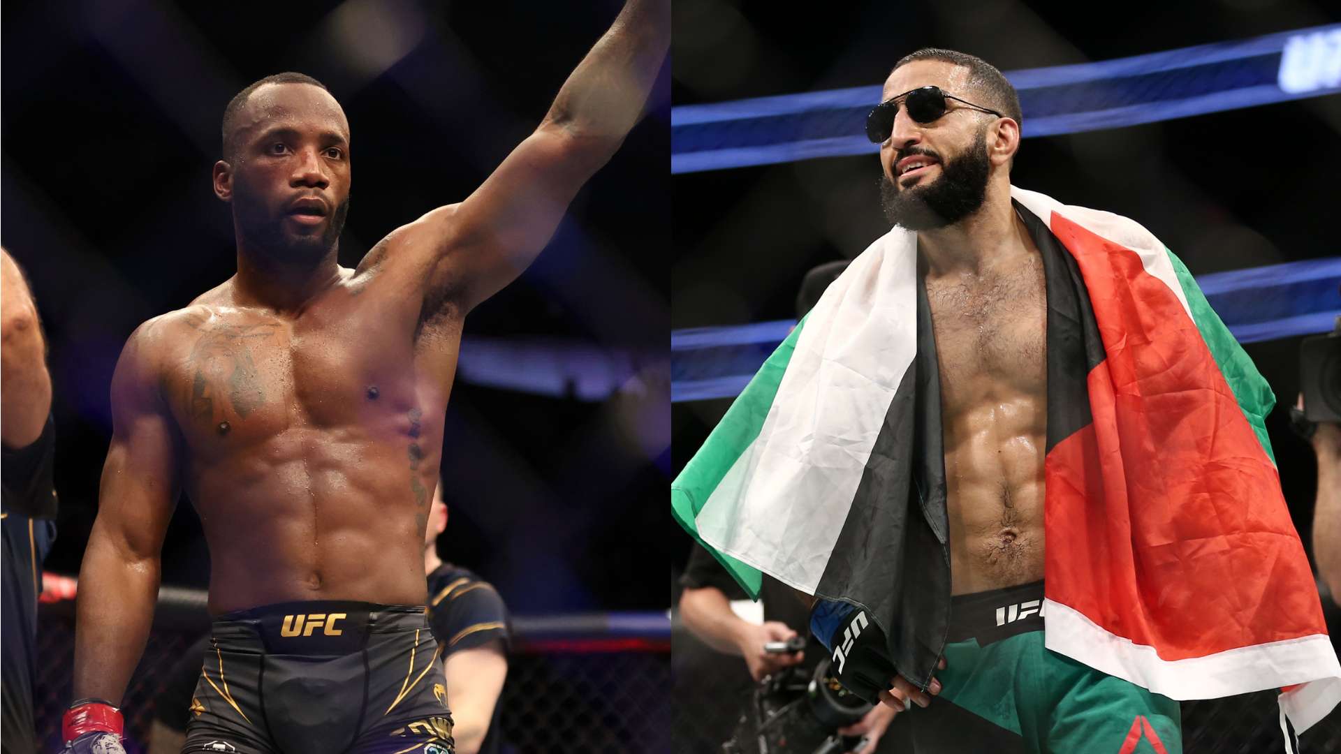 这次伤病暂 这次伤病暂