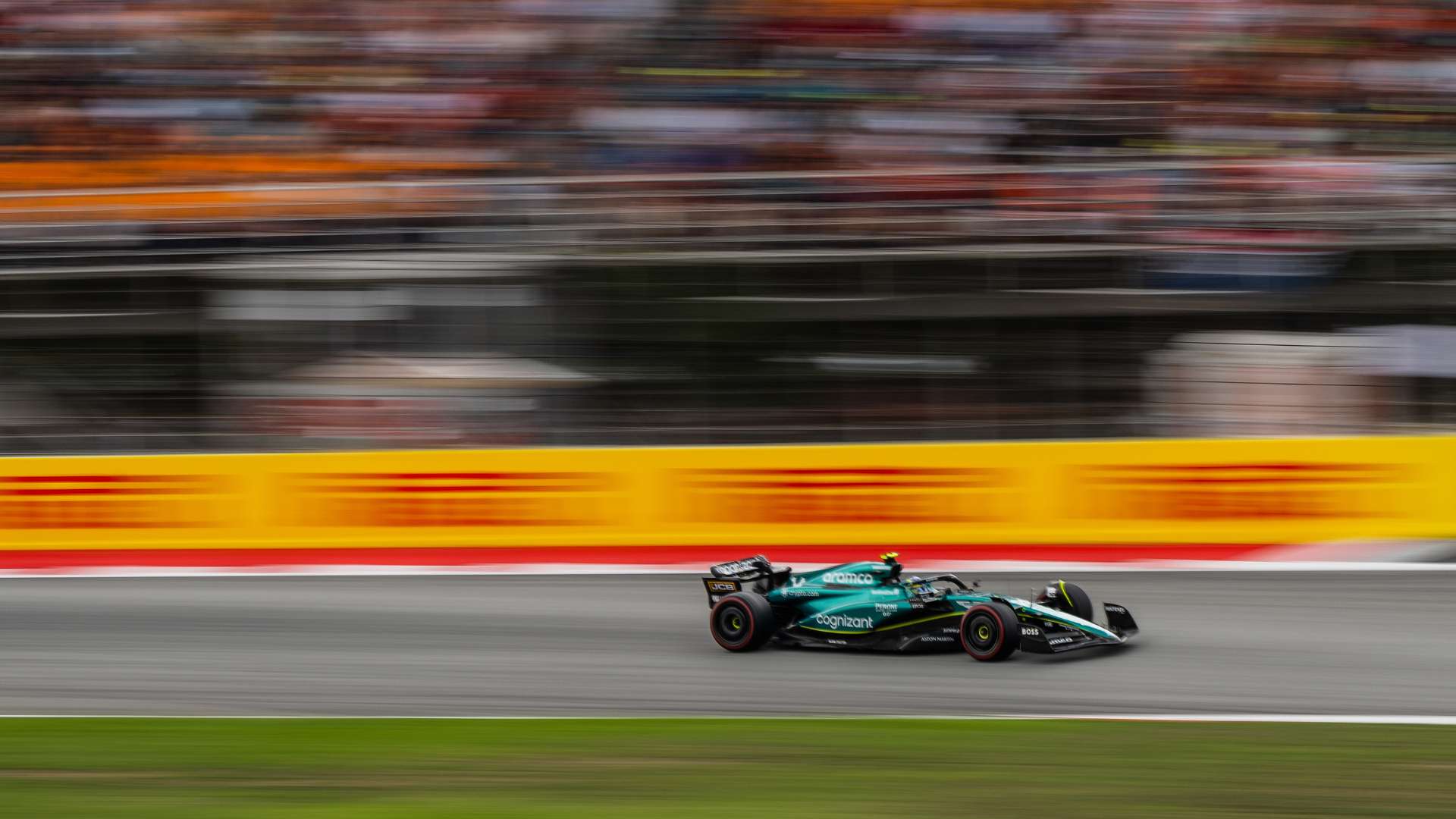 仅体现了他 仅体现了他