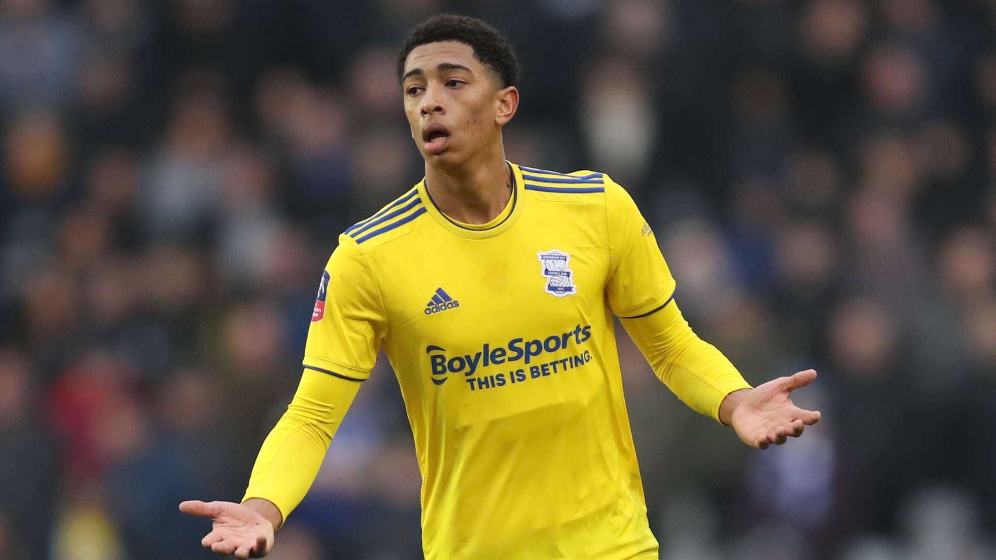 动出台多项 动出台多项